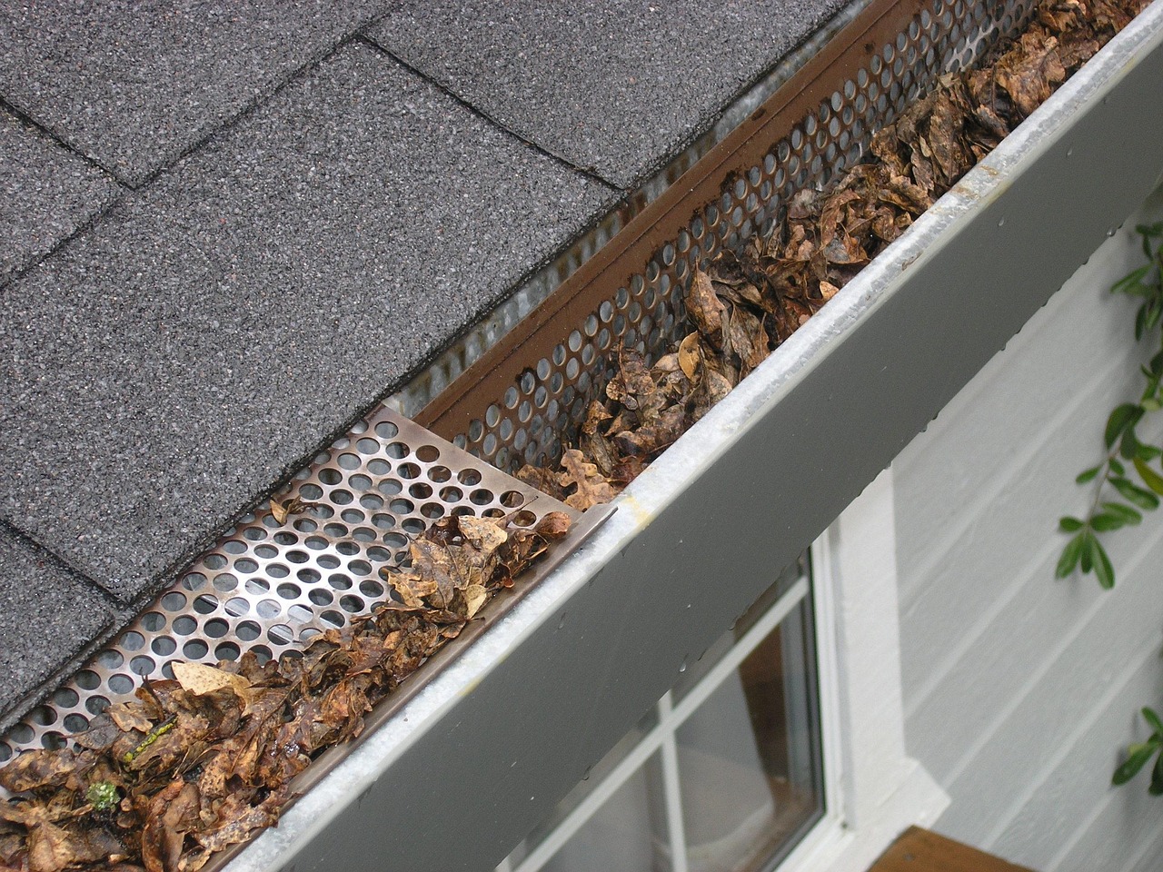Top 5 Signs Your Gutters Need Immediate Repair or Replacement gutter guard ipswich, gutter protection ipswich, gutter covers ipswich, gutter mesh, gutter knight, gutter guard ipswich, gutter mesh, gutter mesh, gutter mesh, gutter mesh, gutter mesh